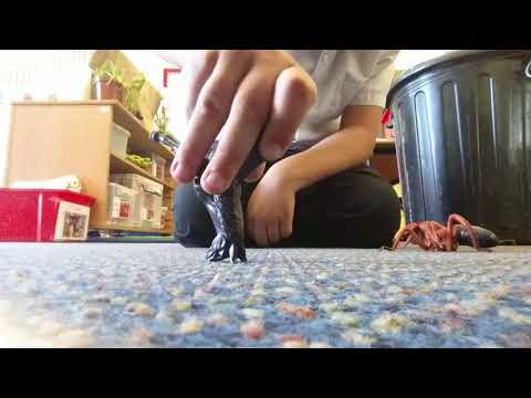 How weird a toy animal fight must watch, 😕🐴