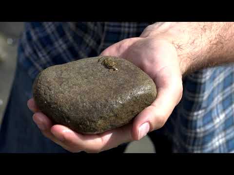 Wisłoka - renaturyzacja czyli powrót do przeszłości...