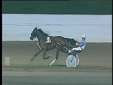 Trotto 26/08/2017 - 5ª corsa