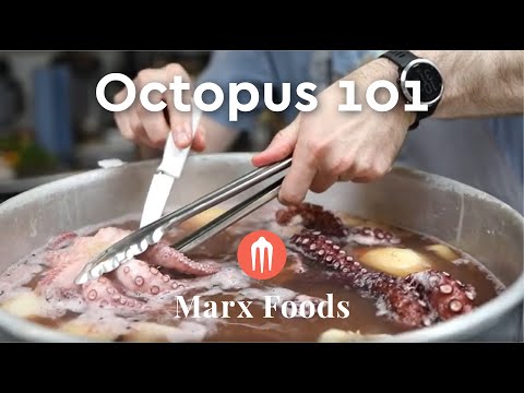 How To Cook Whole Octopus