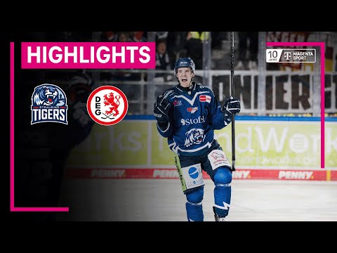 Straubing Tigers - Düsseldorfer EG | PENNY DEL | MAGENTA SPORT