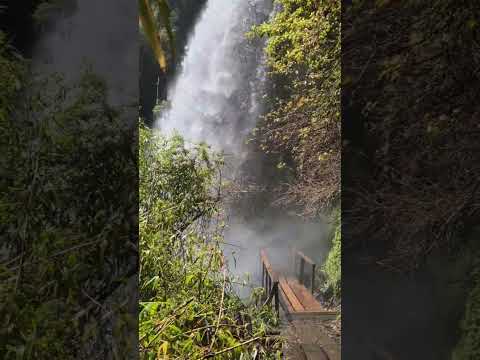 Huilo Huilo,Panguipulli,Región de los Ríos!!✨️🌿 #Panguipulli #Valdivia #chile #travel #shorts #short