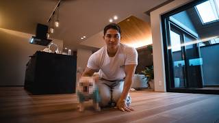 新居で子ブタの飼育をはじめました。