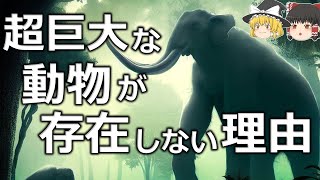 【生存に有利】動物は大きくなるよう進化するのか【ゆっくり解説】【雑学】