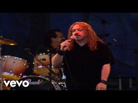 Los Acosta - Tonto Corazón (En Vivo)