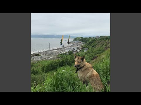 Video thumbnail for Спой мне песню (Sing me a song)