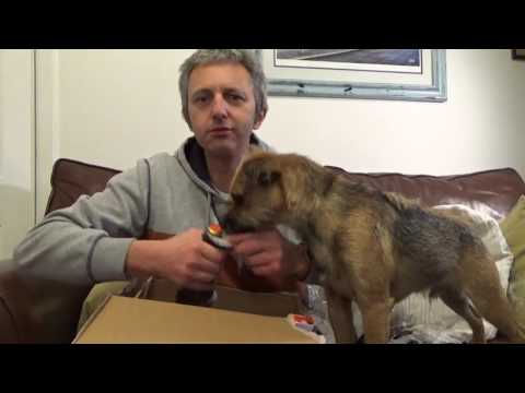 HBW .WE HAVE BEER MAIL.