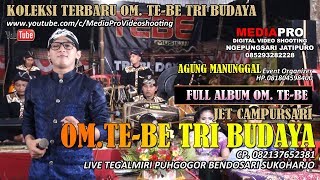 Download lagu OM. TE-BE TRI BUDAYA JET CAMPURSARI TERBARU FULL ALBUM mp3