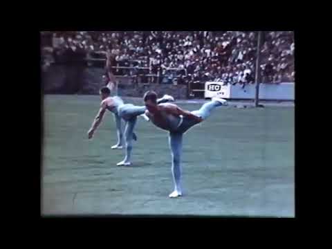 Sverige Har Fallit (Sweden Has Fallen)