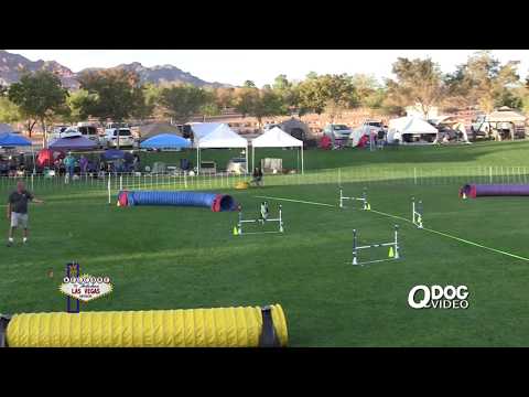 Slick chances1 111017