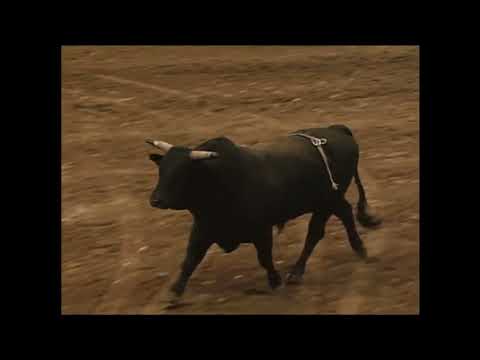 Cody Custer vs Sampson - 99 PBR Albuquerque (87 pts)