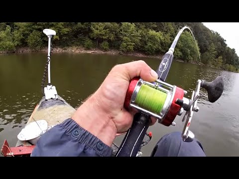 Testing the best Catfish Rods in the game