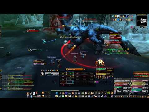 Approach with Chloroform Vs Fetid Devourer Normal