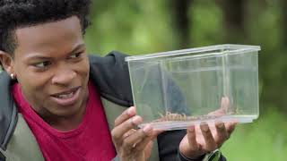 Thumbnail del capítulo