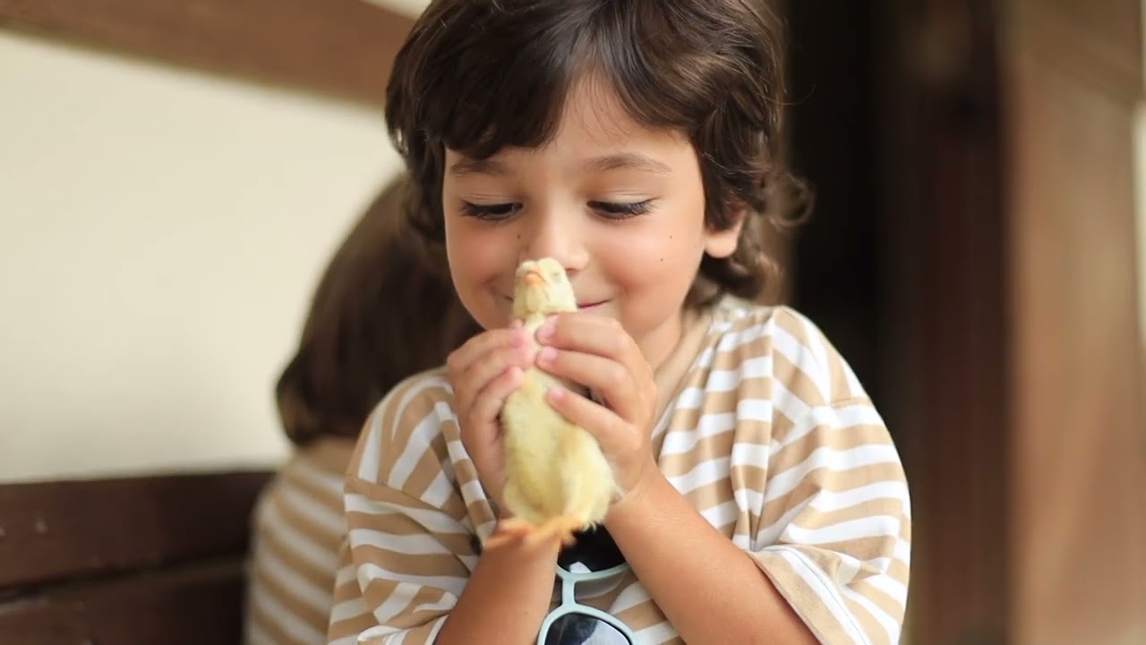 Conheça o Resort Le Canton e sua estrutura completa!