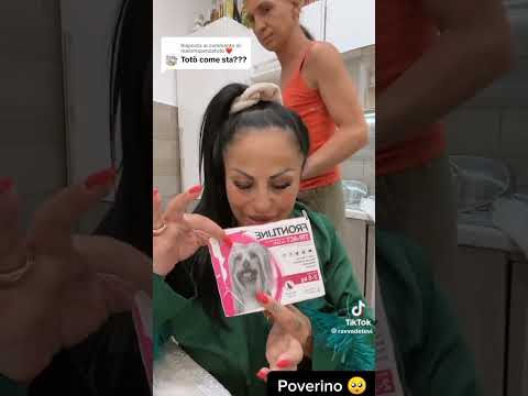 Le condizioni di Totò #ritadecrescenzo #tiktok #viral #virale #napoli #palonetto