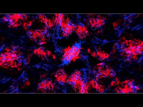 TRANCE VISIONS- OnePhatBootleg - In And Out Of My Life (Quake Remix)