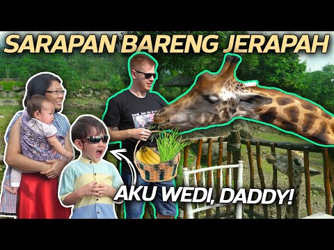 serunya-bangun-tidur-langsung-sarapan-bareng-jerapah-di-baobab-safari-resort