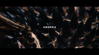 ANDREA (feat. Vanessa Elisha) - DOWN (music video)