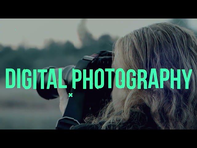 Visual Effects including Animation and Video Production TRAINEESHIP - 5M5048 - VFA