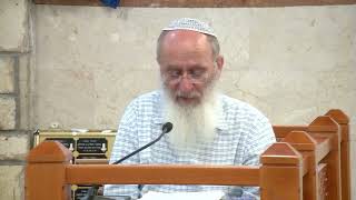 מה המשמעות שאומות העולם הולכות ומתמעטות? – שיעור 113 – ספר במדבר