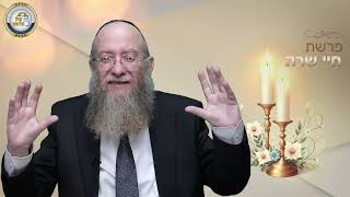 💫🕯️השגה חדשה במסירות נפש - סיפור ומסר מפרשת חיי שרה | הרב יעקב שיש (ארגון קול הלשון) - התמונה מוצגת ישירות מתוך אתר האינטרנט יוטיוב. זכויות היוצרים בתמונה שייכות ליוצרה. קישור קרדיט למקור התוכן נמצא בתוך דף הסרטון