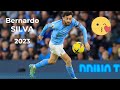 Bernardo Silva 2023 Sublime Skills Goals HD