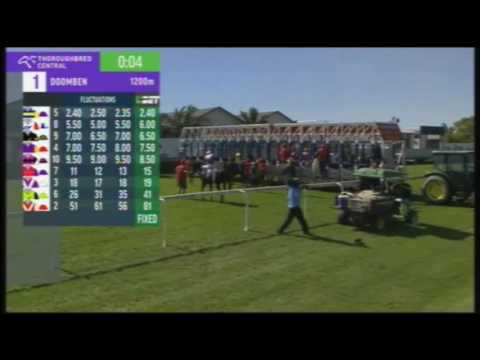 Fine Mist At Doomben 28 May 2016