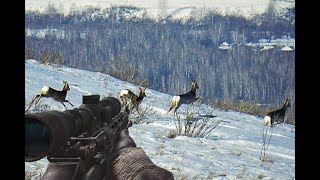 Приманка для копытных на охоте