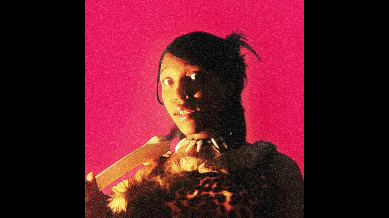 Portraits Of Tracy - Halli Step / Raider Klan Shit