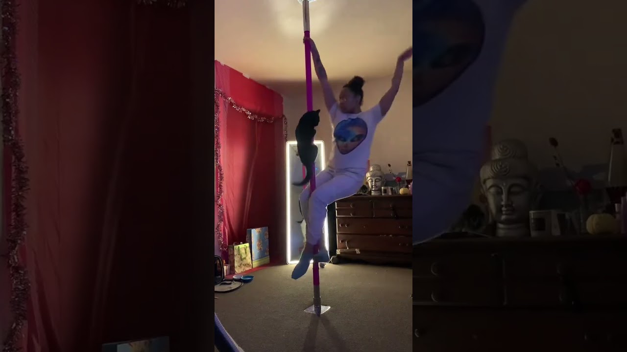 Cat Got Bills Too! 🤣