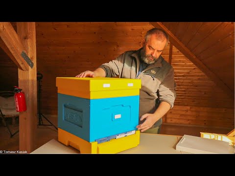 Ventilation in hives with mesh and solid bottoms.