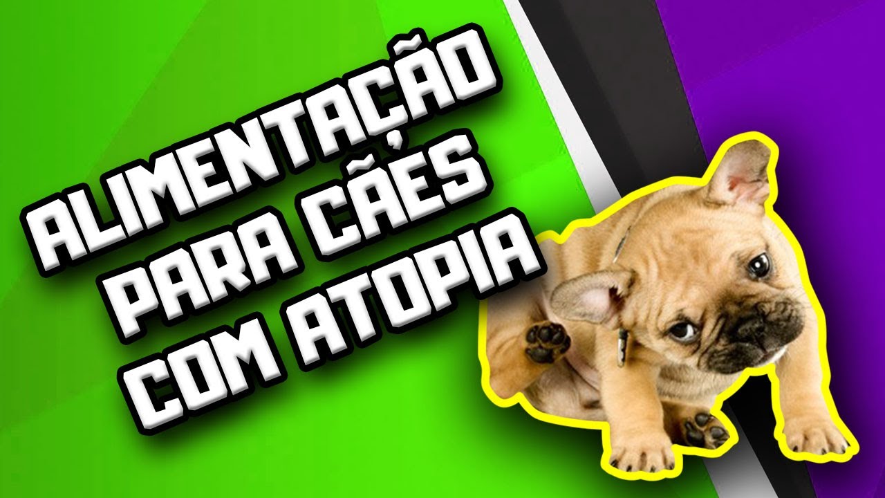 Alimentação Natural para Cães com Atopia e Problemas de Pele | Dr. Edgard Gomes
