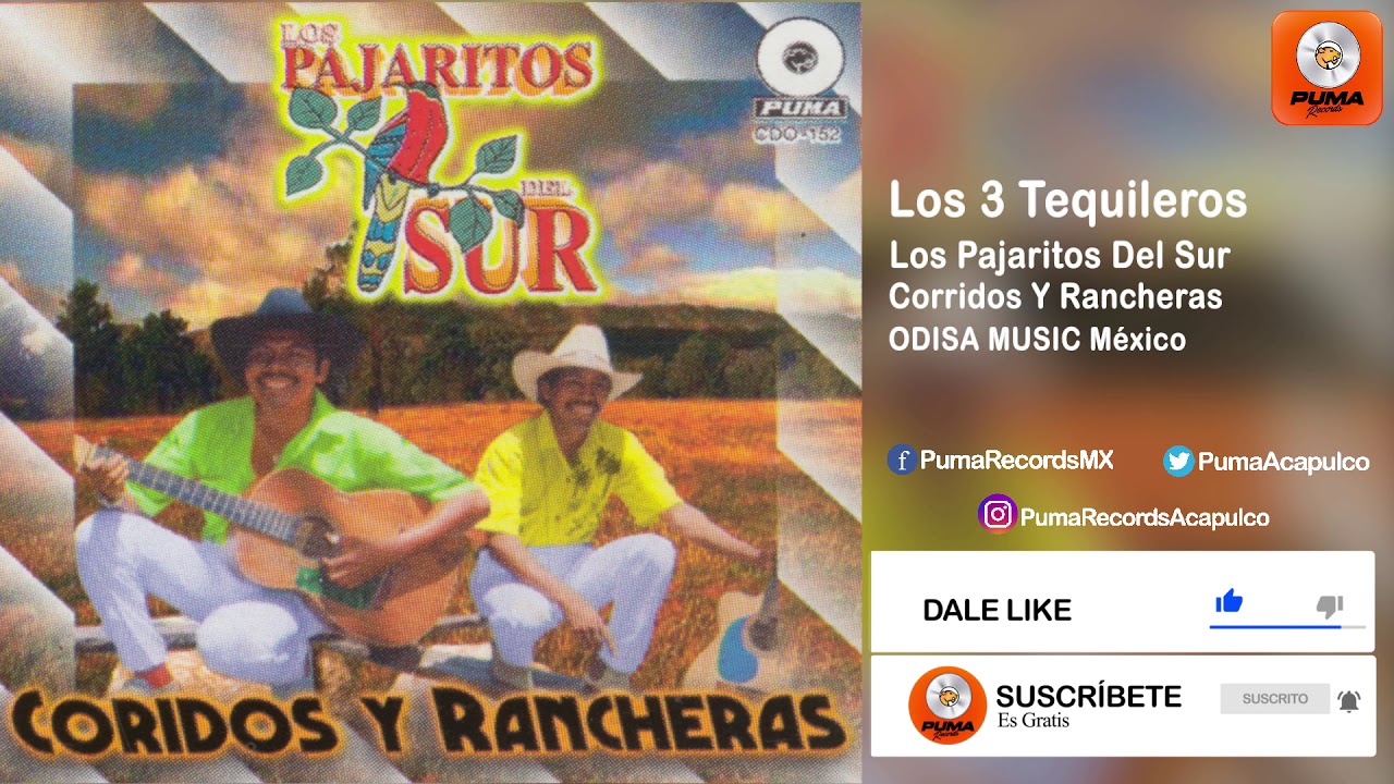 Los 3 Tequileros - Los Pajaritos Del Sur - Corridos Y Rancheras