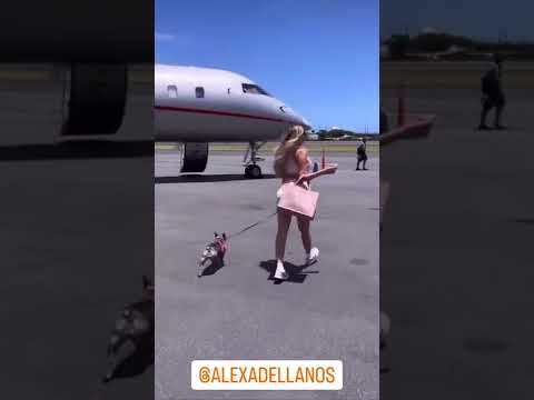 Alexa Dellanos taking her dog in her private plane