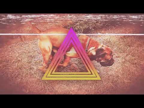 Kanav demo...#PawanfectWellness #Shorts #YTShorts #YouTubeShorts#trending #pets #reels #roblox