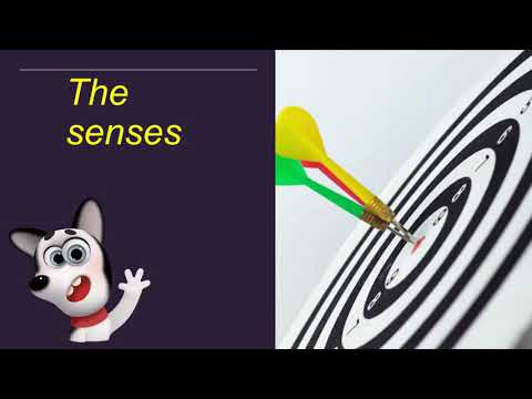 The senses  speak english with ruben
