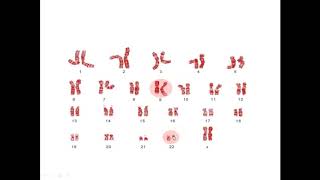 Neoplasmas Mieloproliferativos - Dr. Juan Zunino