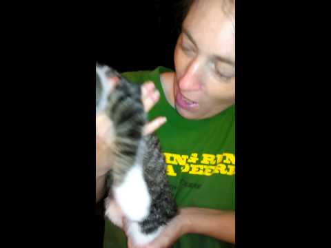 Johnny boy getting a bath