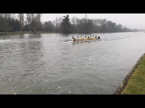 Minerva 8+ Henley 4s and 8s 2019