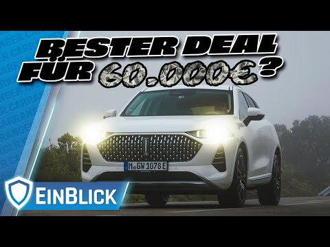 WEY Coffee 01 - BESSER als Koffein? Probefahrt mit MUNTEREN 850 Nm!