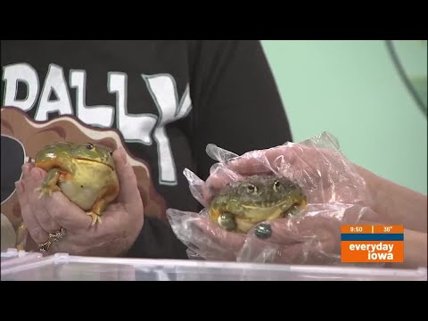Everyday Iowa - Toadally Awesome Pets - YouTube