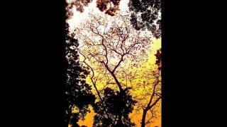 Tim Story - Untitled