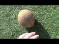 Как открыть кокосовый орех 