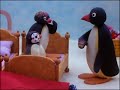 Pinga As A Baby Pingu Official Channel Cartoons For Kids