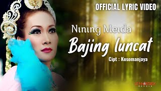 Download lagu Nining Meida - Bajing Luncat mp3
