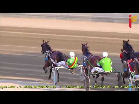 IV Corsa del 28 Agosto 2021   Premio Vigata   Cat  G   Metri 1600