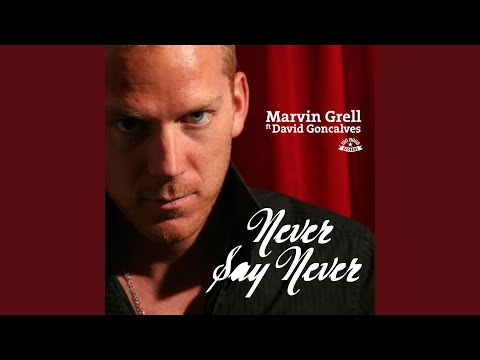 Never Say Never (Original Radio Version) feat. David Goncalves