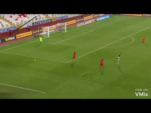 Luiz Gustavo Dias   Fenerbahçe