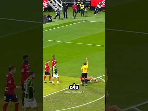 ANH ẤY CỐ TÌNH HAY CHỈ LÀ VÔ Ý 😳